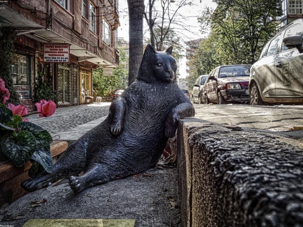 ការយល់ដឹងអំពីការប្រកួតនិងរង្វាន់