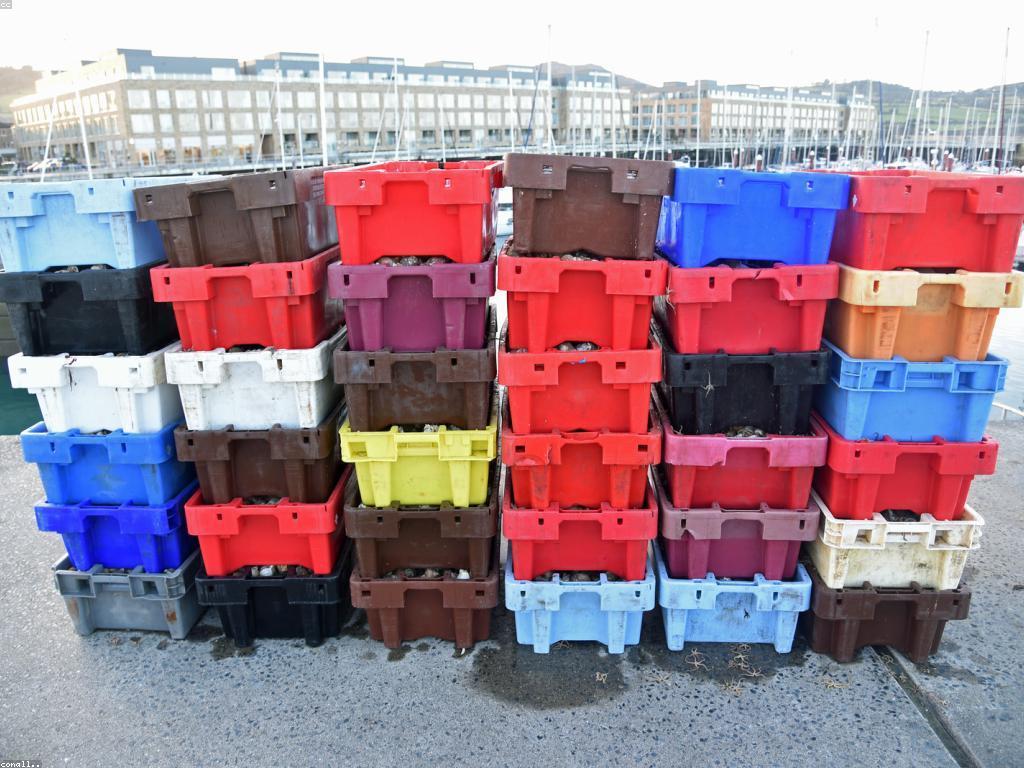 វិធីសាស្រ្ត និងគន្លឹះសំរាប់ការបង្ហោះបាញ់ត្រី