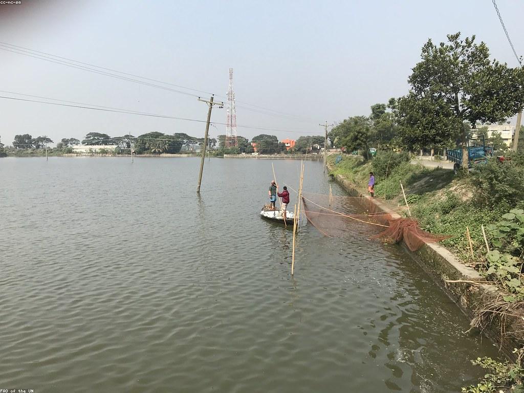 យុទ្ធសាស្ត្របាញ់ត្រី: គន្លឹះនៅក្នុងការតាមដានត្រី