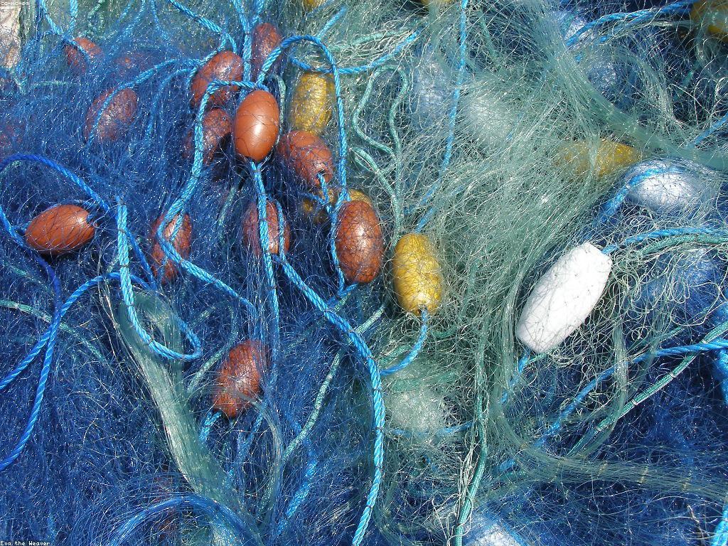 យុទ្ធសាស្ត្របាញ់ត្រី: ការប្រើប្រាស់បច្ចេកវិទ្យាថ្មីក្នុងការបាញ់ត្រី