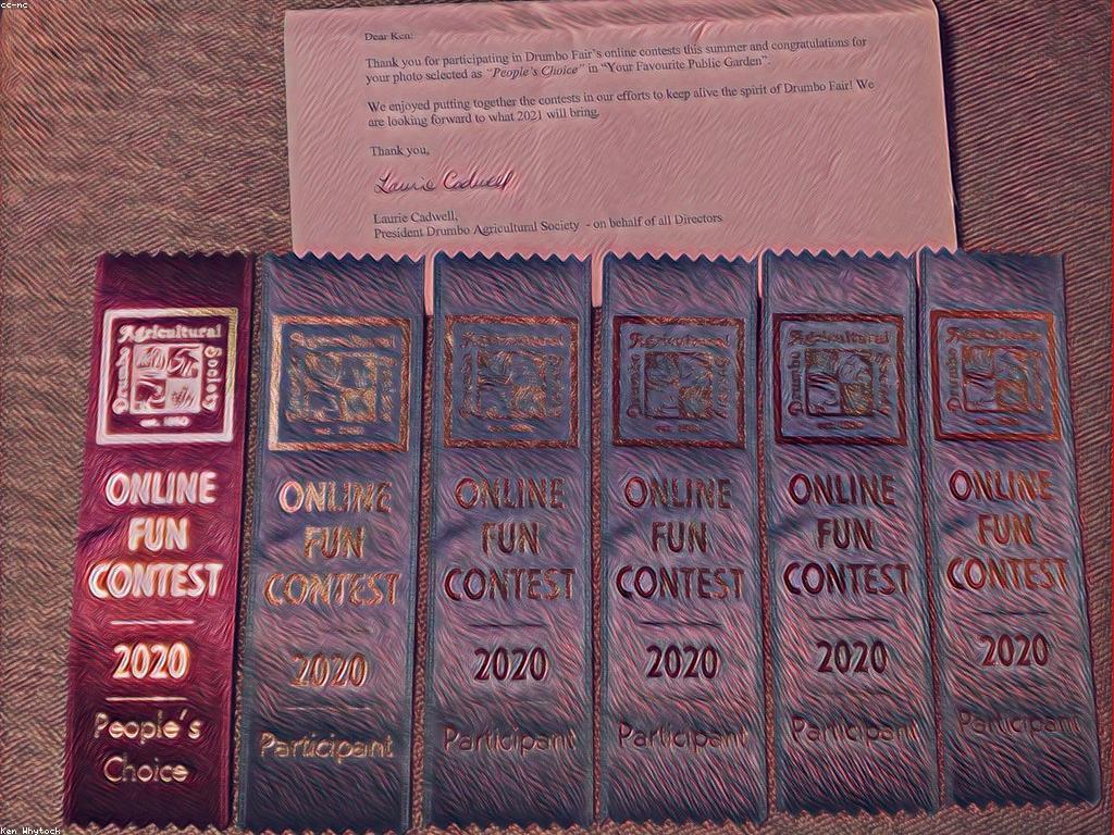 សារៈសំខាន់នៃការប្រកួតនិងរង្វាន់