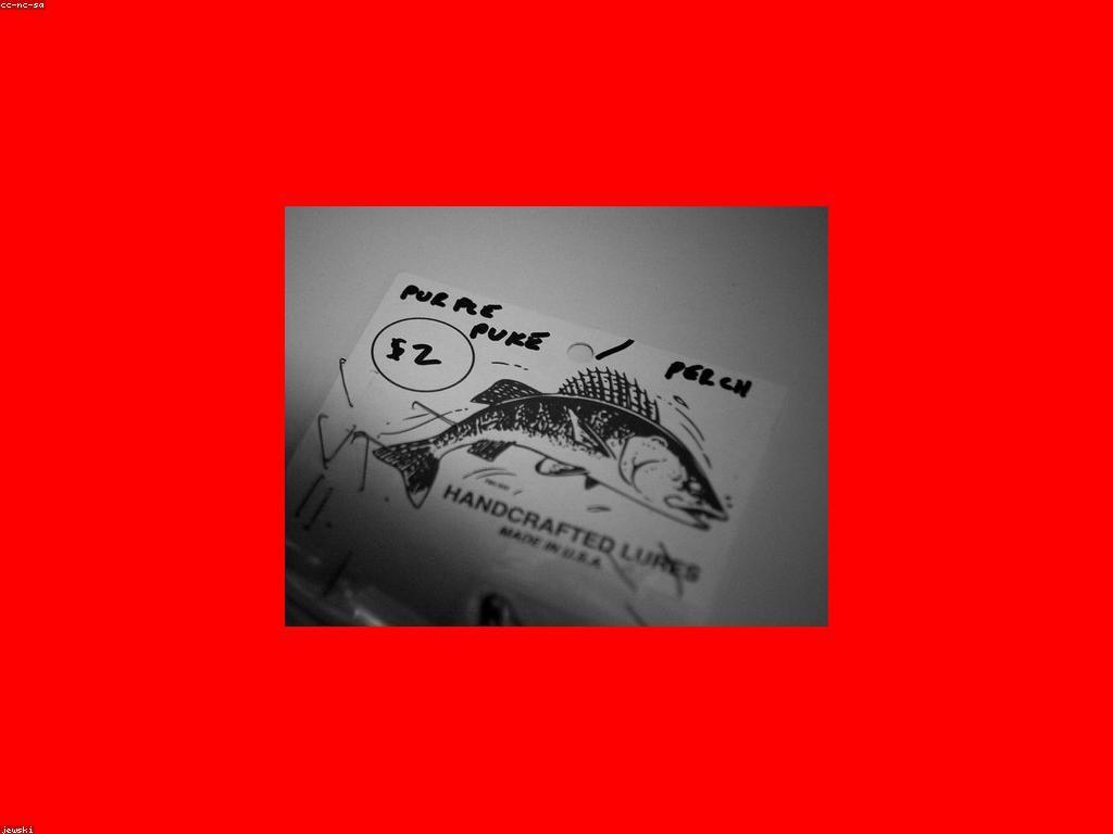 ការបង្ហាញពីការបាញ់ត្រី: អ្នកនឹងត្រូវដឹងអំពីអ្វីខ្លះ?