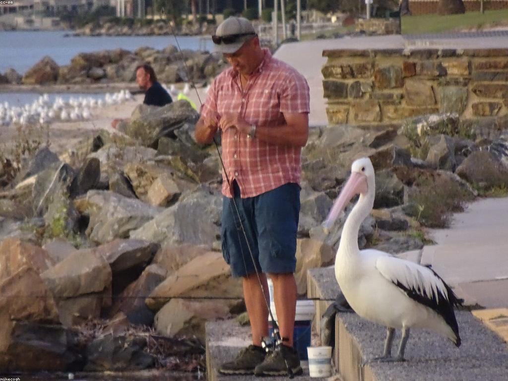 យុទ្ធសាស្ត្របាញ់ត្រីសម្រាប់អ្នកចាប់ផ្តើម