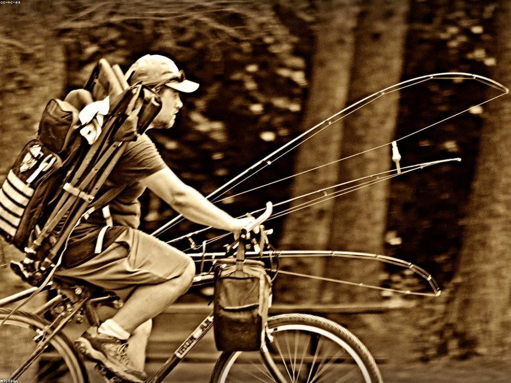 មេរៀនសម្រាប់ការជ្រើសរើសឧបករណ៍ក្នុងការបង្ហោះបាញ់ត្រី