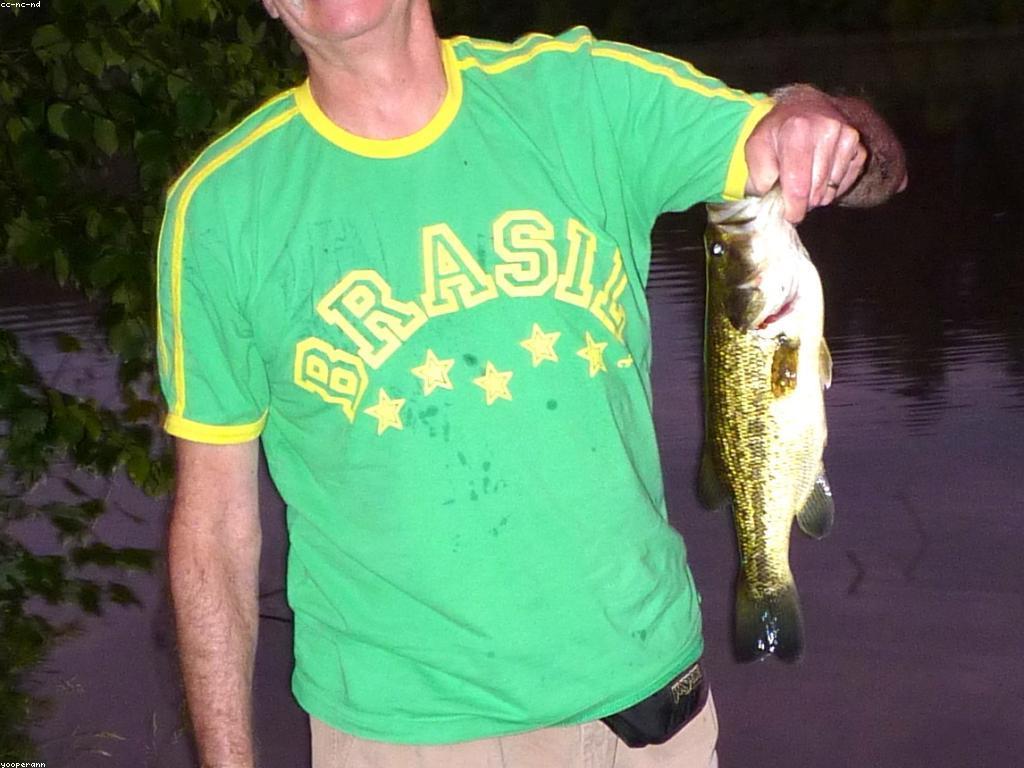 ការយល់ដឹងអំពីបច្ចេកទេសការបង្ហោះបាញ់ត្រី